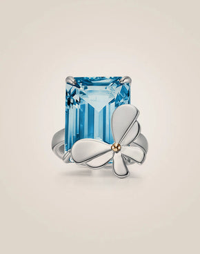 Amuseable Cloud Cahir